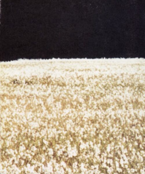 File:1296 book monograph 0032.jpg