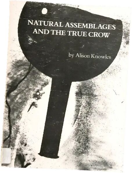 File:3793 book monograph 0298.jpg