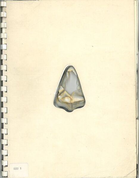 File:7543 book monograph 0476.jpg