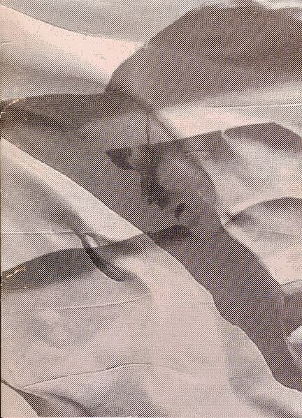 File:WhatIsNation FrontCover.jpg